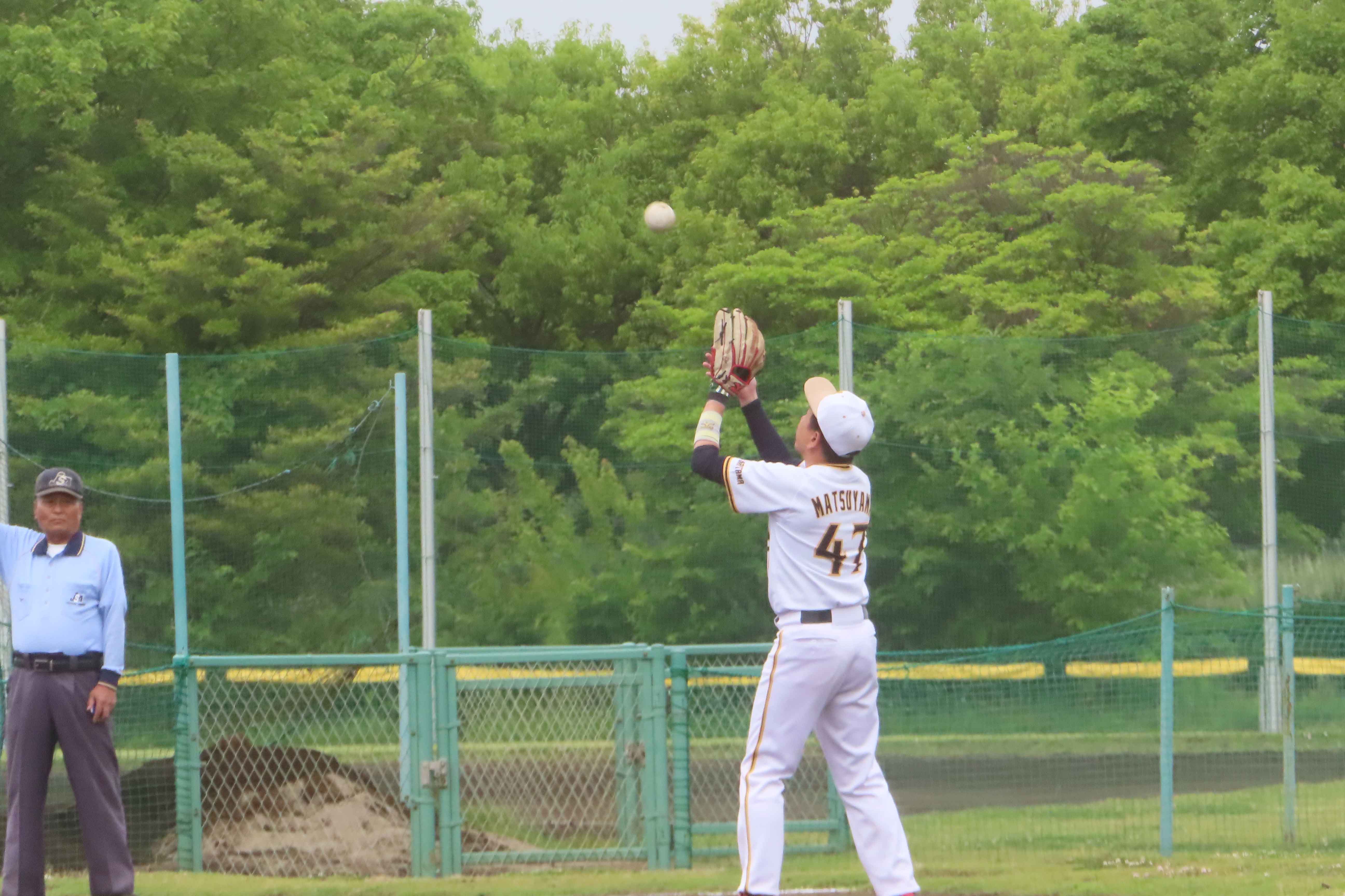写真7