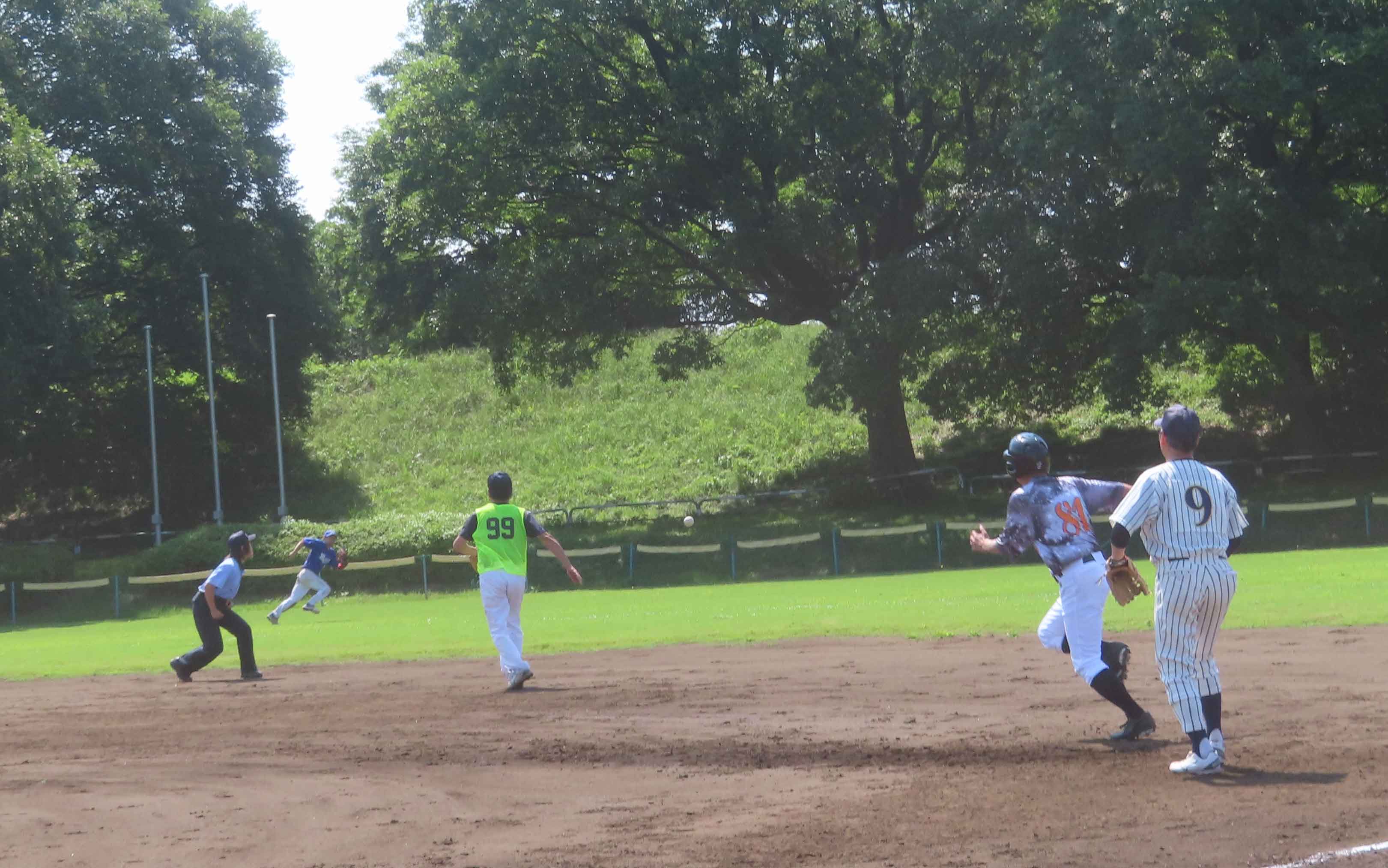 写真14