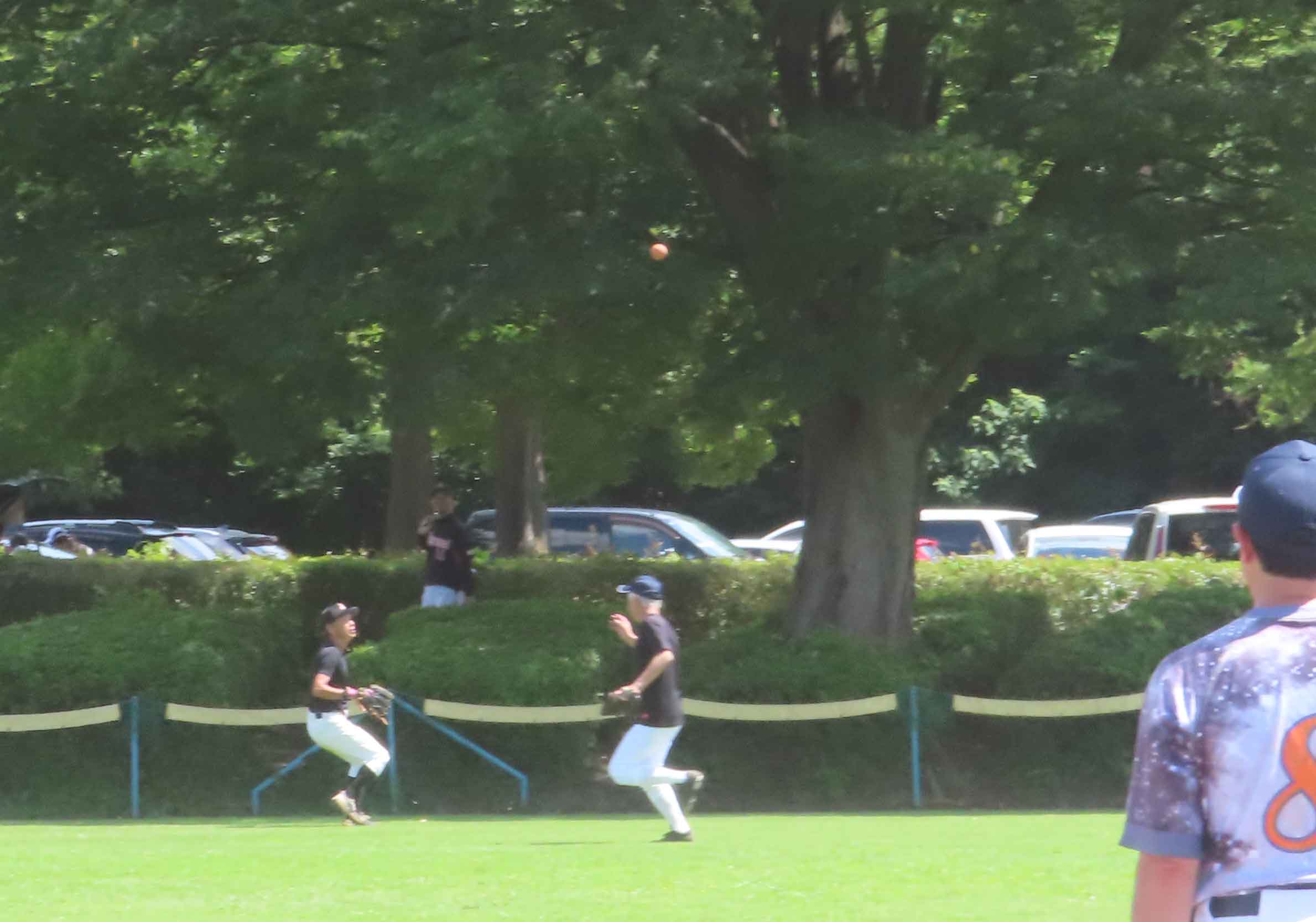 写真1