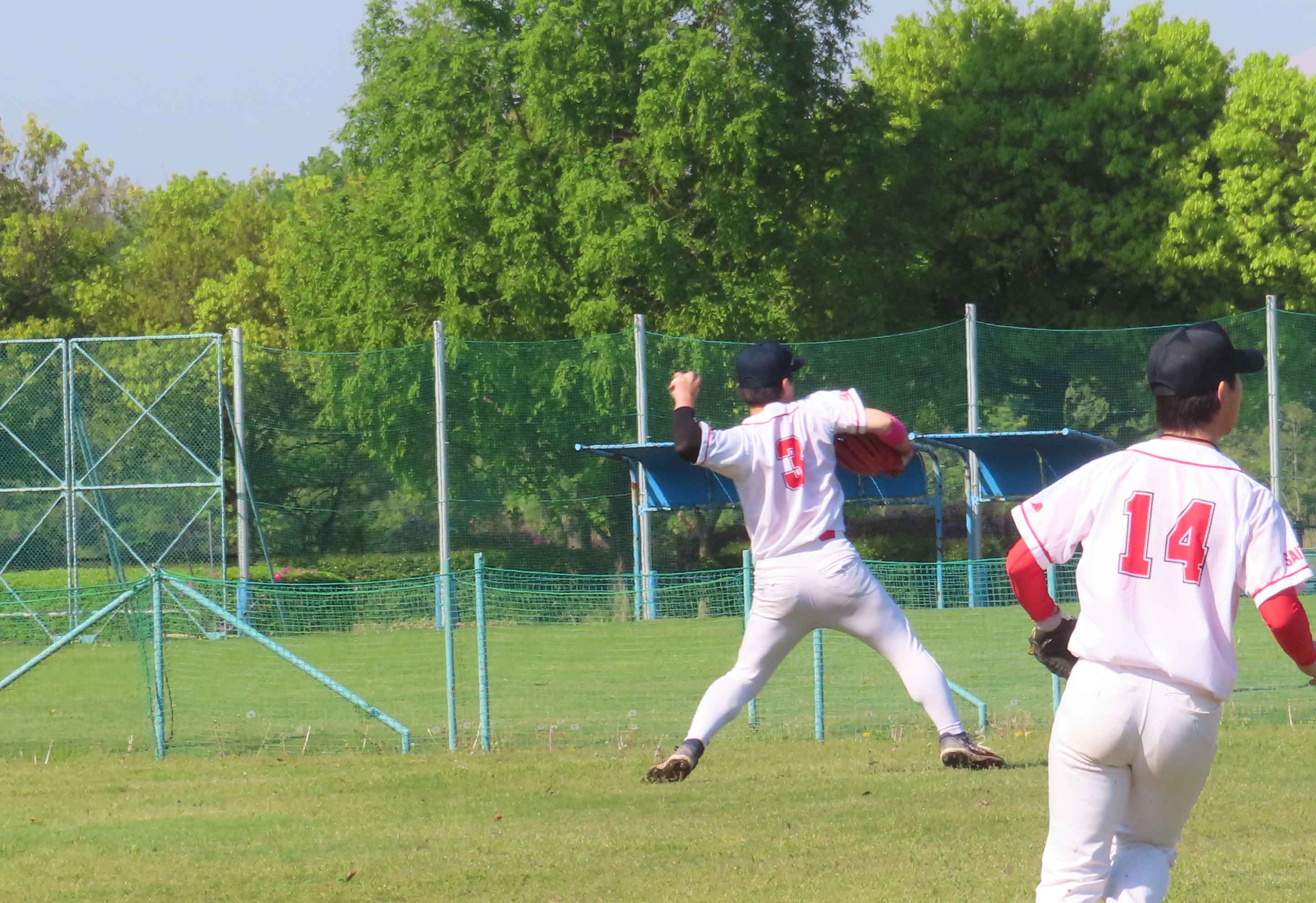 写真1