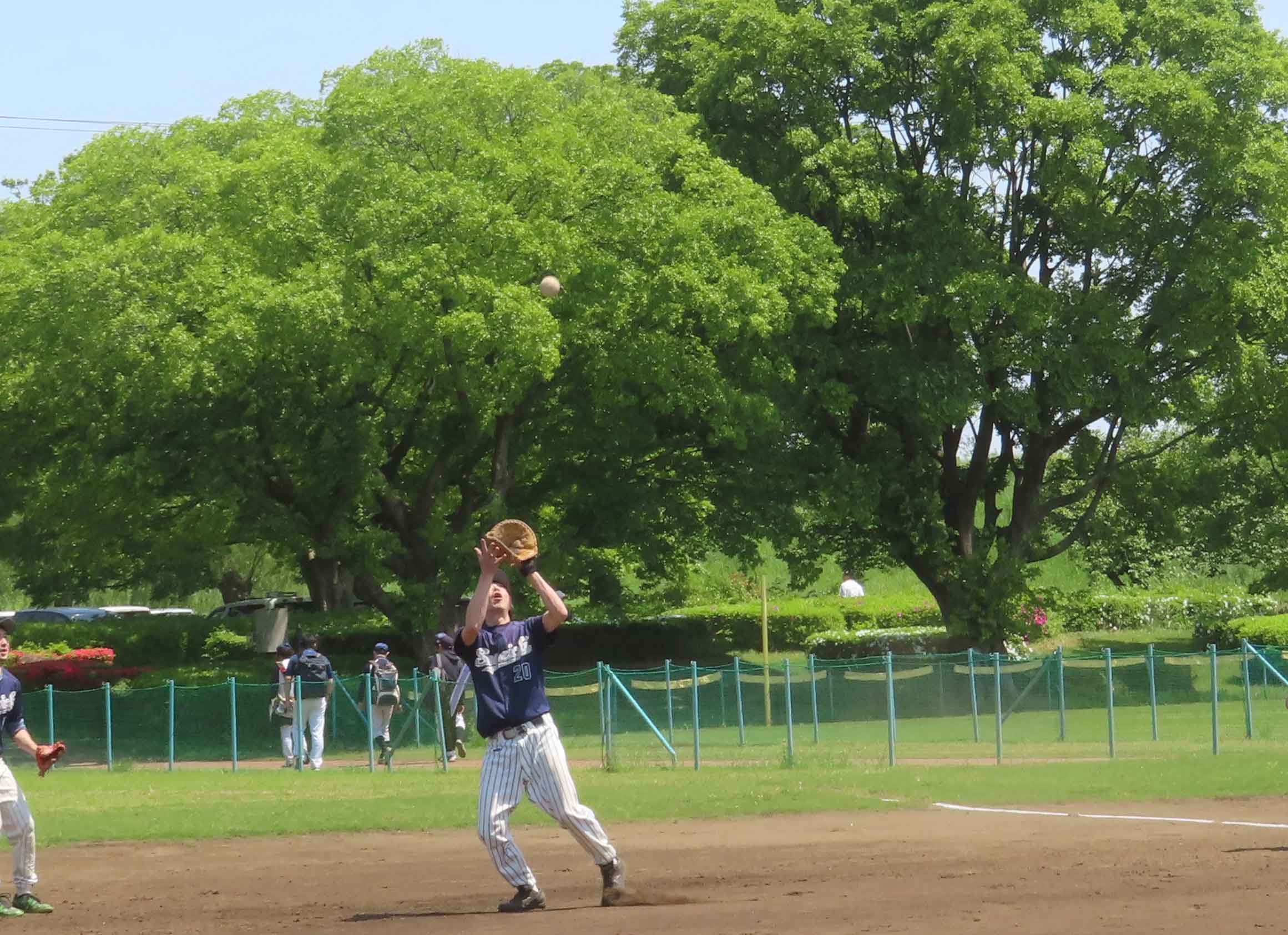 写真31