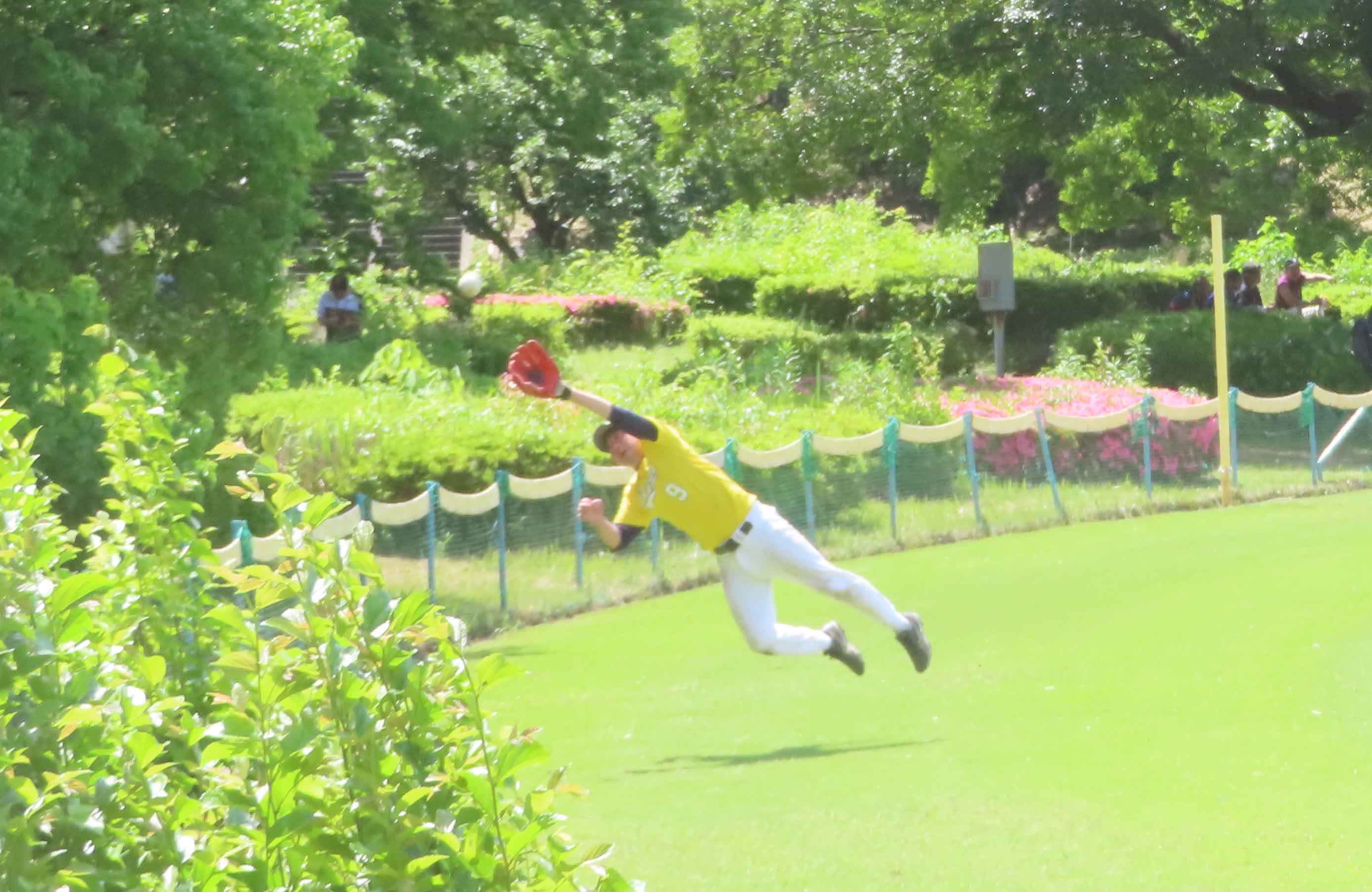 写真1