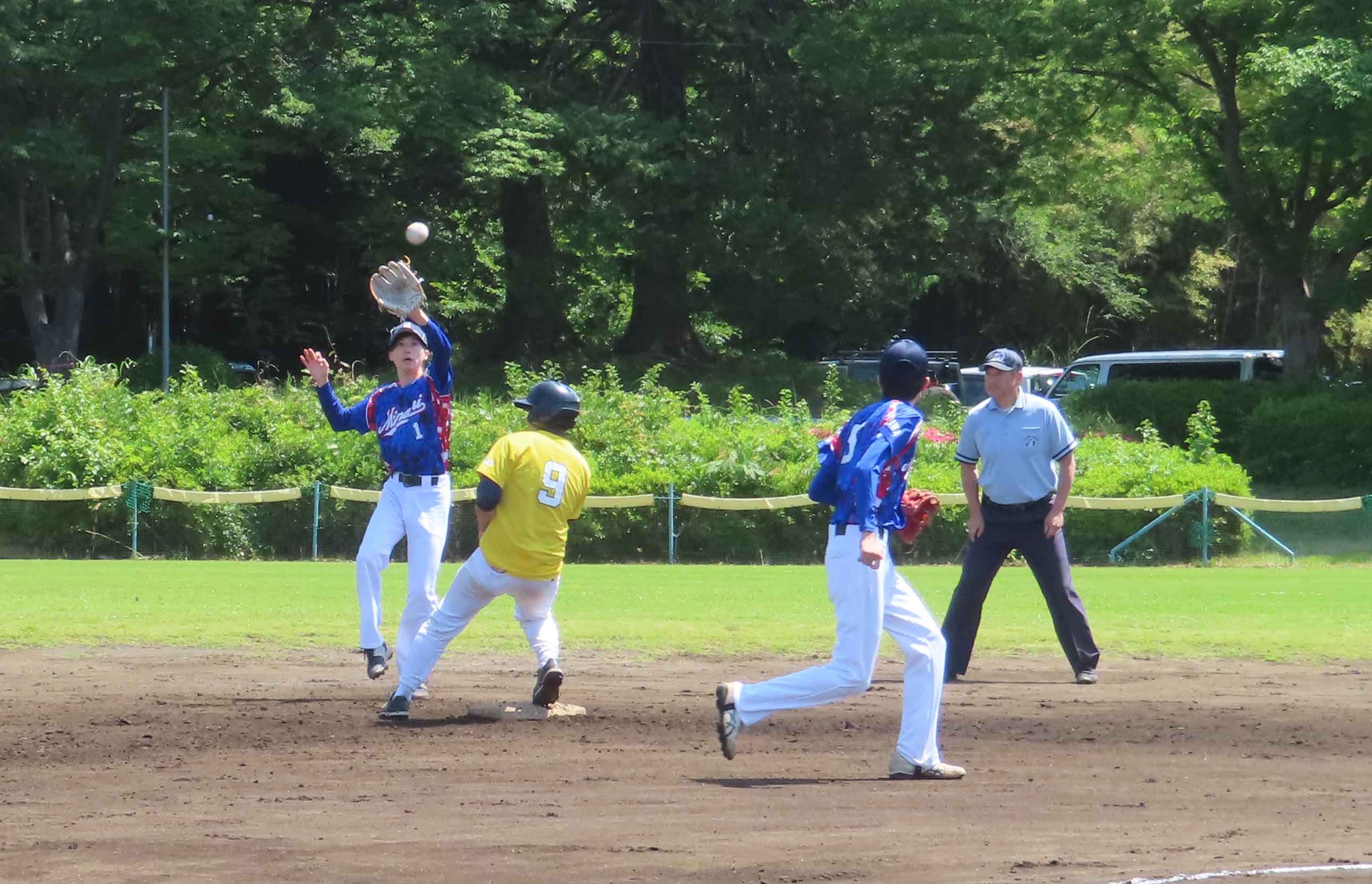 写真6