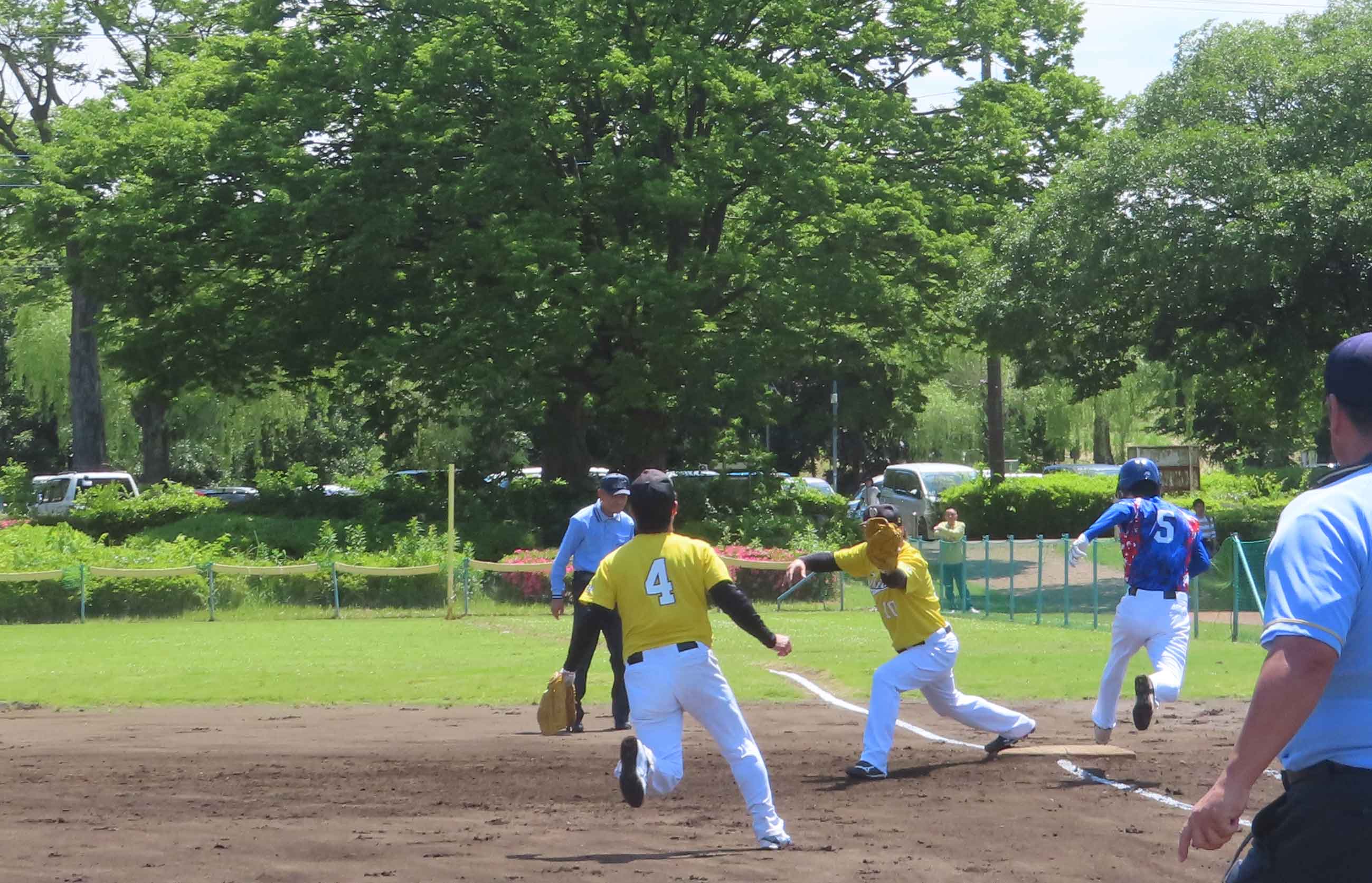 写真12