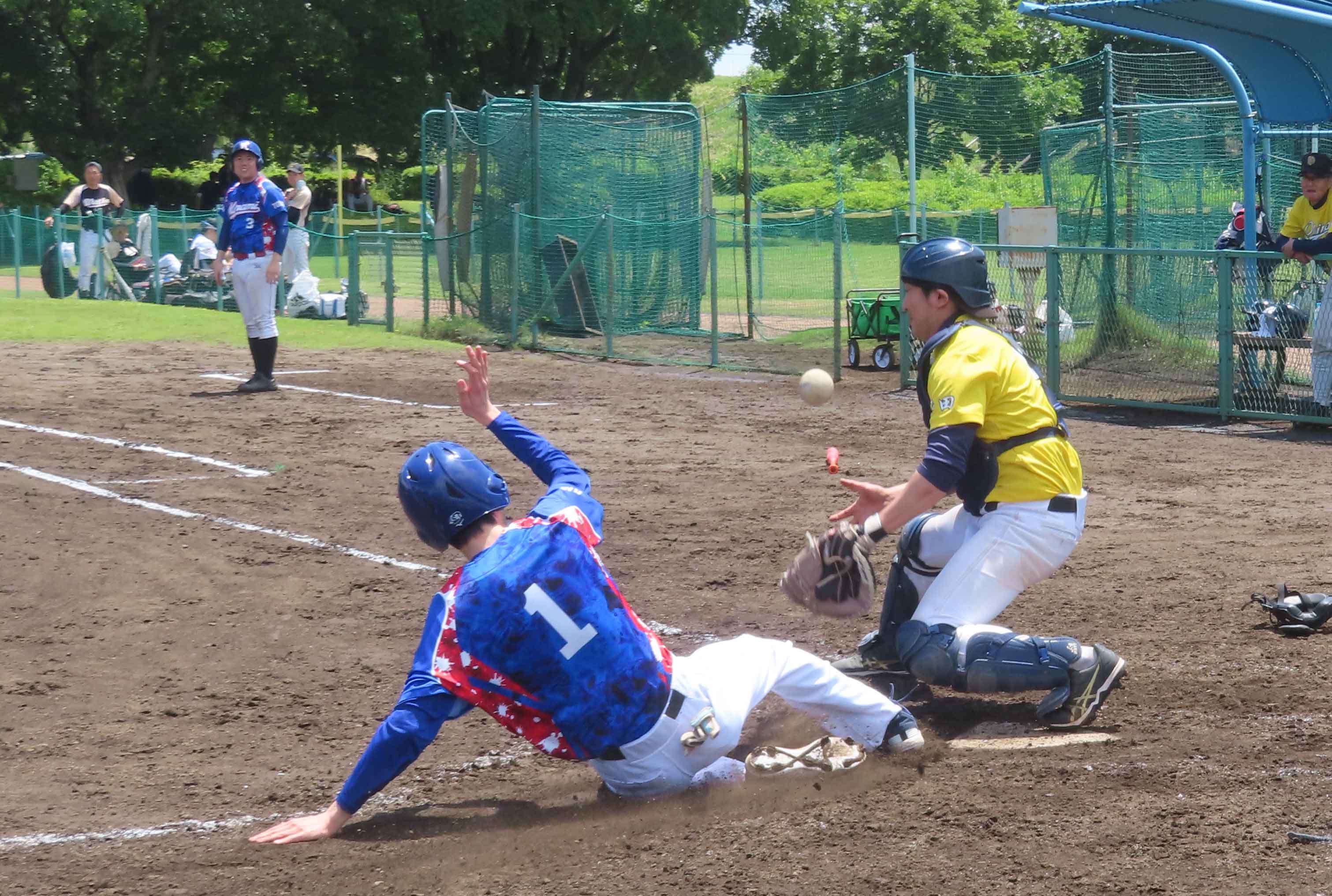 写真14