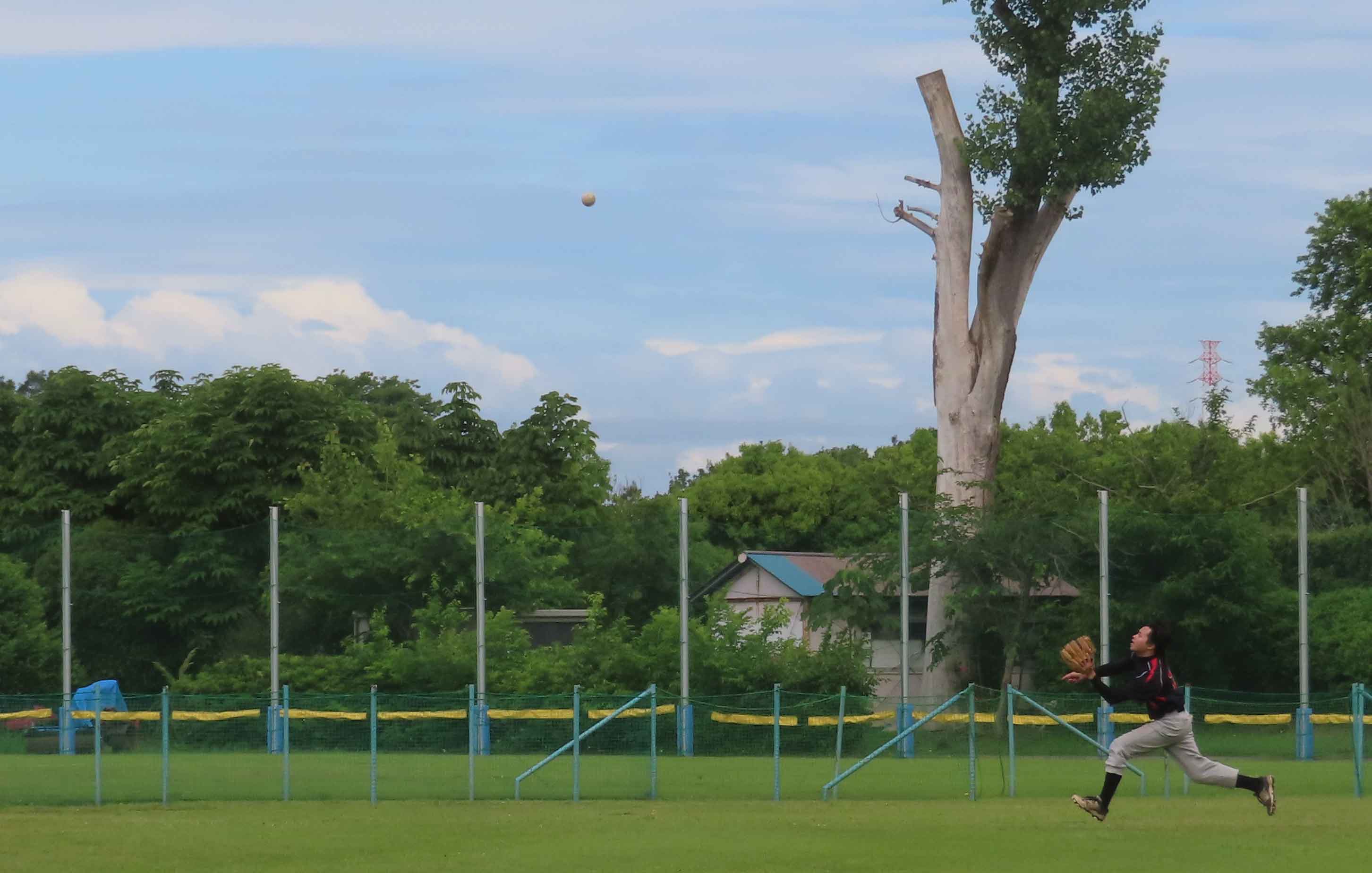 写真12