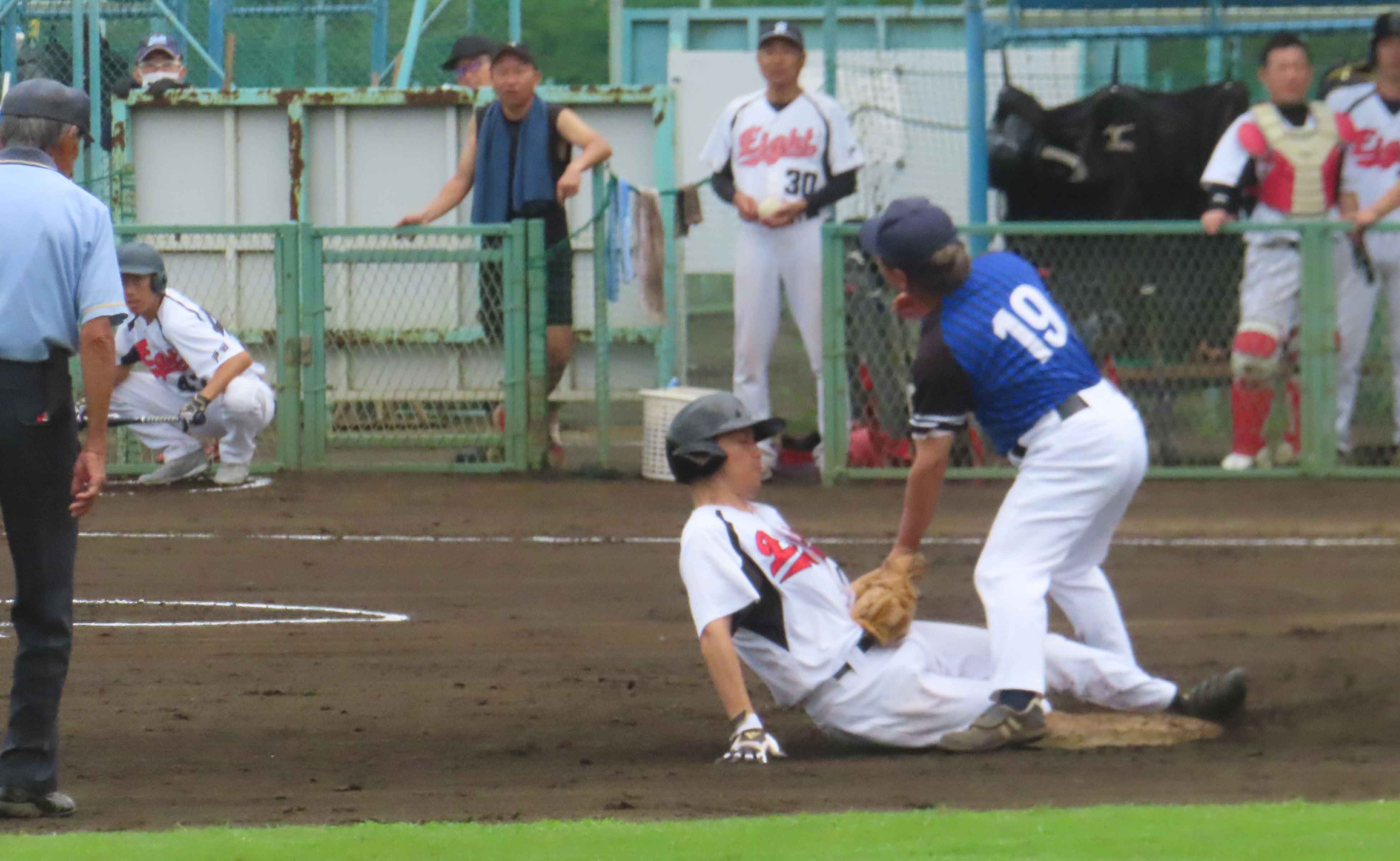 写真7